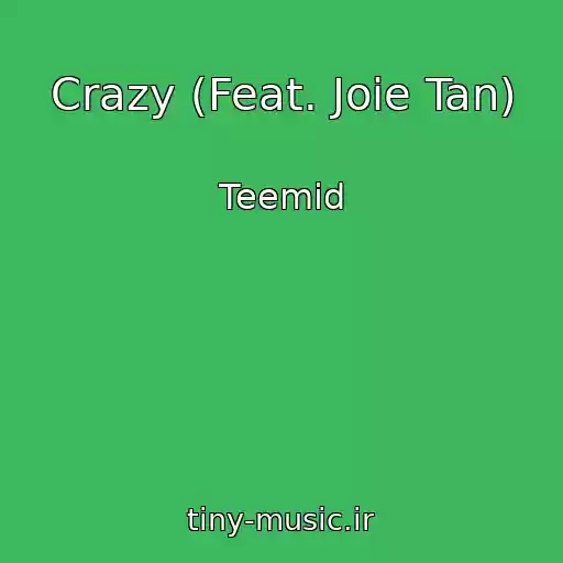 کاور آهنگ Crazy (Feat. Joie Tan) از Teemid