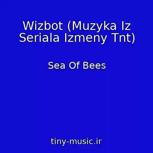 کاور آهنگ Wizbot (Muzyka Iz Seriala Izmeny Tnt) از Sea Of Bees