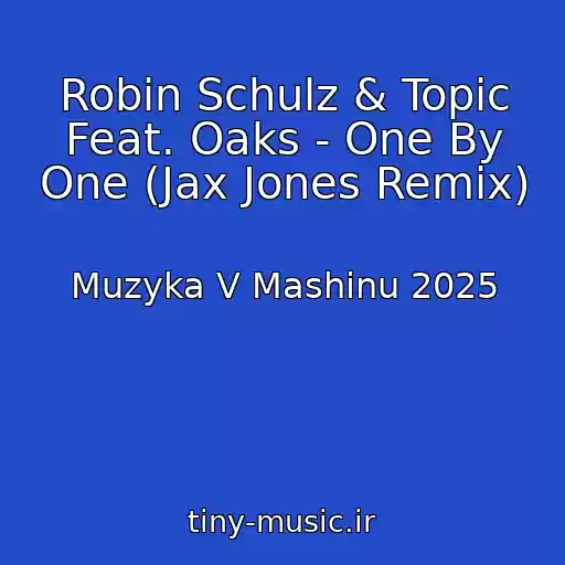 کاور آهنگ Robin Schulz & Topic Feat. Oaks - One By One (Jax Jones Remix) از Muzyka V Mashinu 2025