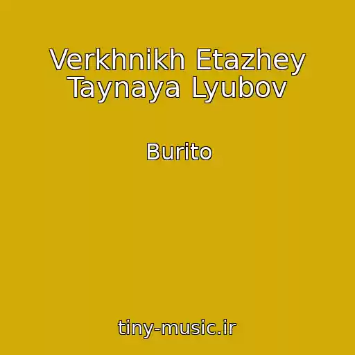 کاور آهنگ Verkhnikh Etazhey Taynaya Lyubov از Burito