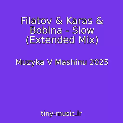کاور آهنگ Filatov & Karas & Bobina - Slow (Extended Mix) از Muzyka V Mashinu 2025