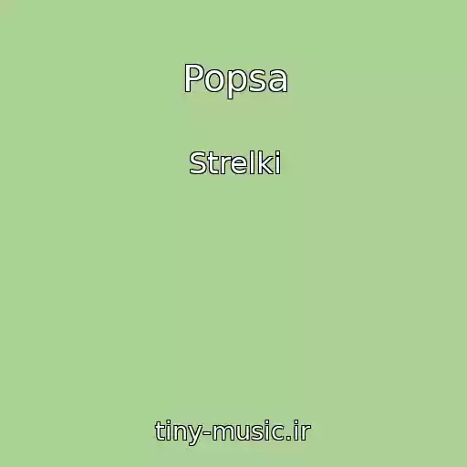 کاور آهنگ Popsa از Strelki