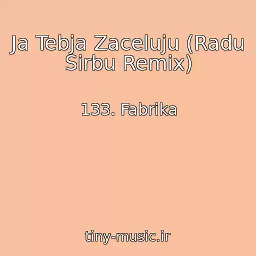 کاور آهنگ Ja Tebja Zaceluju (Radu Sirbu Remix) از 133. Fabrika