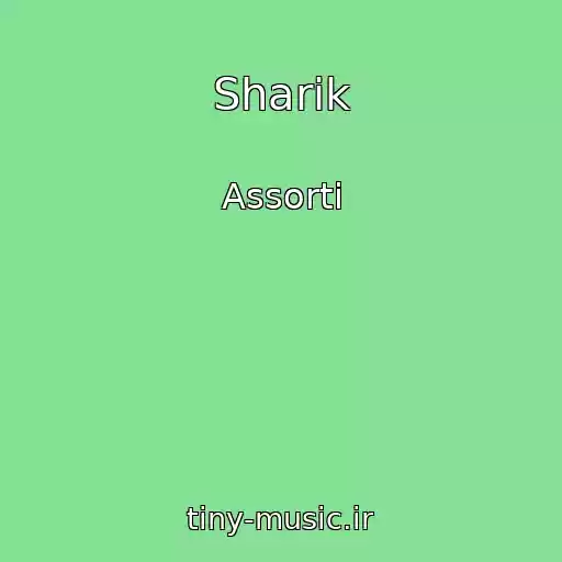 کاور آهنگ Sharik از Assorti