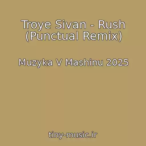 کاور آهنگ Troye Sivan - Rush (Punctual Remix) از Muzyka V Mashinu 2025