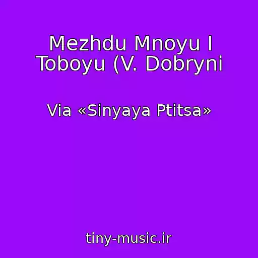 کاور آهنگ Mezhdu Mnoyu I Toboyu (V. Dobryni از Via «Sinyaya Ptitsa»