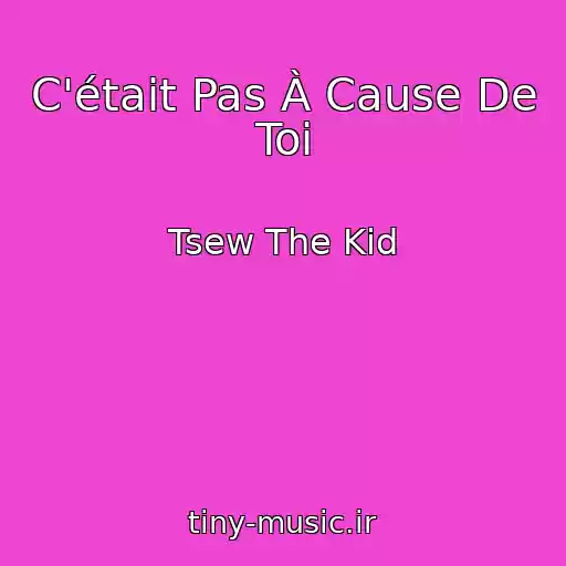 کاور آهنگ C'était Pas À Cause De Toi از Tsew The Kid