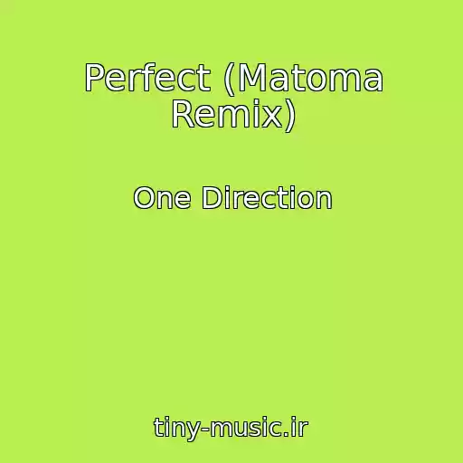 کاور آهنگ Perfect (Matoma Remix) از One Direction