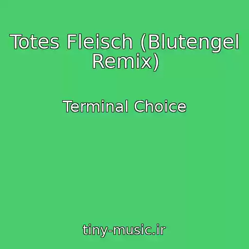 کاور آهنگ Totes Fleisch (Blutengel Remix) از Terminal Choice