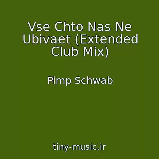 کاور آهنگ Vse Chto Nas Ne Ubivaet (Extended Club Mix) از Pimp Schwab