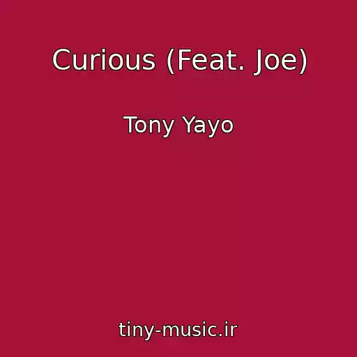 کاور آهنگ Curious (Feat. Joe) از Tony Yayo