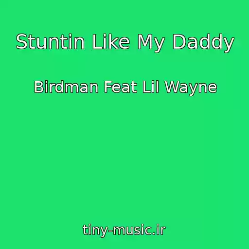 کاور آهنگ Stuntin Like My Daddy از Birdman Feat Lil Wayne