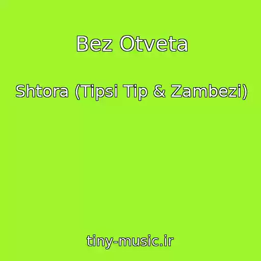 کاور آهنگ Bez Otveta از Shtora (Tipsi Tip & Zambezi)