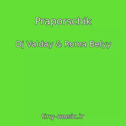 کاور آهنگ Praporschik از Dj Valday & Roma Belyy