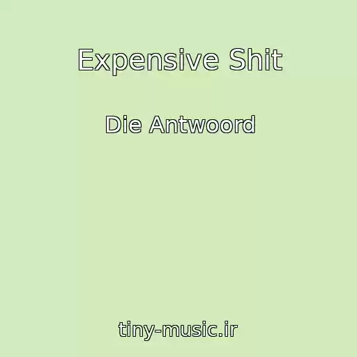 کاور آهنگ Expensive Shit از Die Antwoord