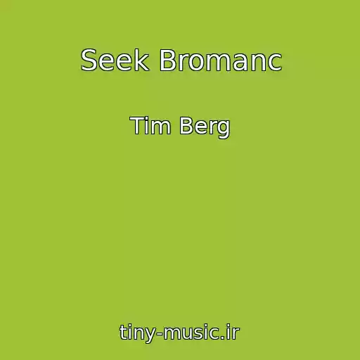 کاور آهنگ Seek Bromanc از Tim Berg