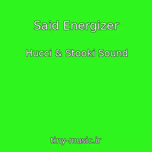 کاور آهنگ Said Energizer از Hucci & Stooki Sound
