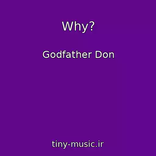کاور آهنگ Why? از Godfather Don