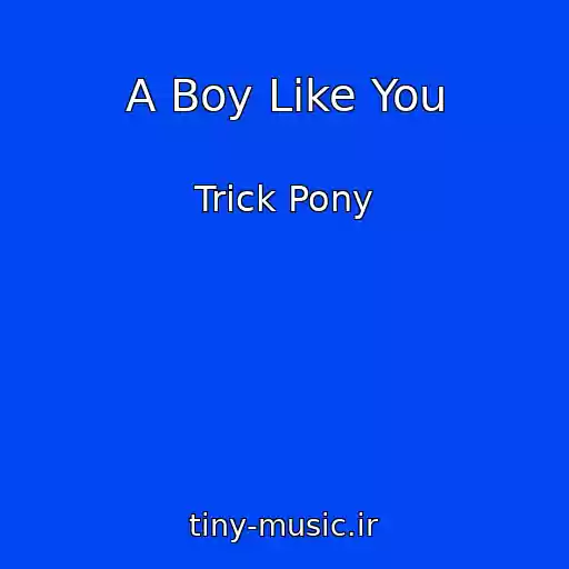 کاور آهنگ A Boy Like You از Trick Pony