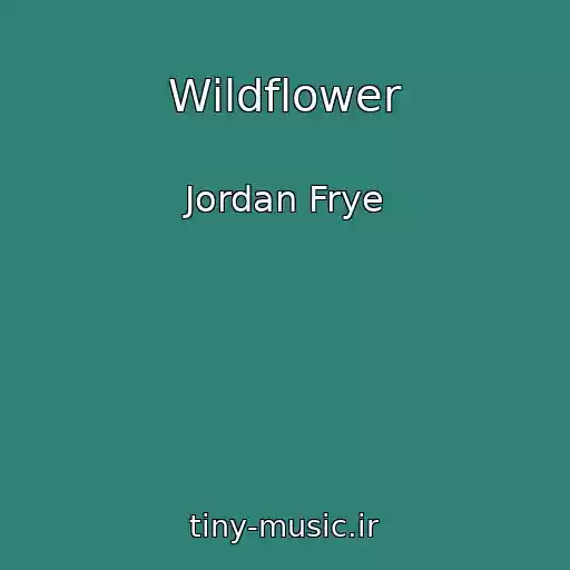 کاور آهنگ Wildflower از Jordan Frye