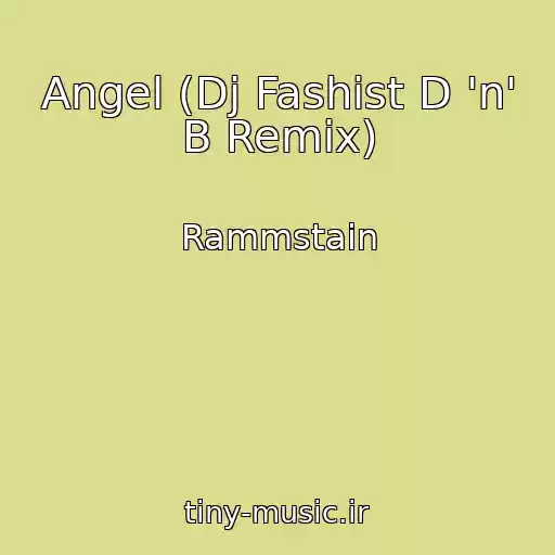 کاور آهنگ Angel (Dj Fashist D 'n' B Remix) از Rammstain