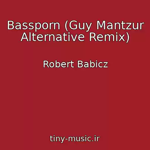 کاور آهنگ Bassporn (Guy Mantzur Alternative Remix) از Robert Babicz