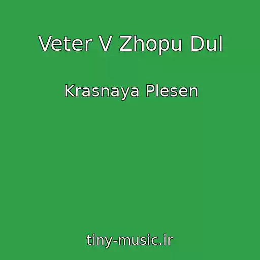 کاور آهنگ Veter V Zhopu Dul از Krasnaya Plesen