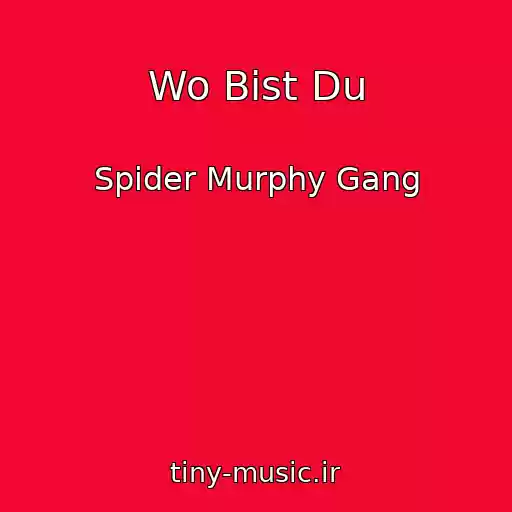 کاور آهنگ Wo Bist Du از Spider Murphy Gang