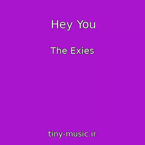 کاور آهنگ Hey You از The Exies