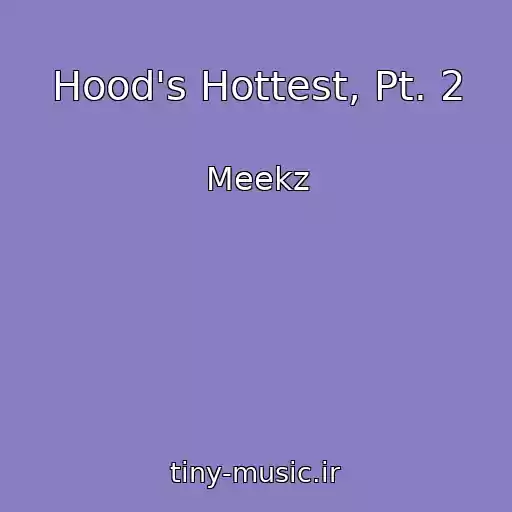 کاور آهنگ Hood's Hottest, Pt. 2 از Meekz
