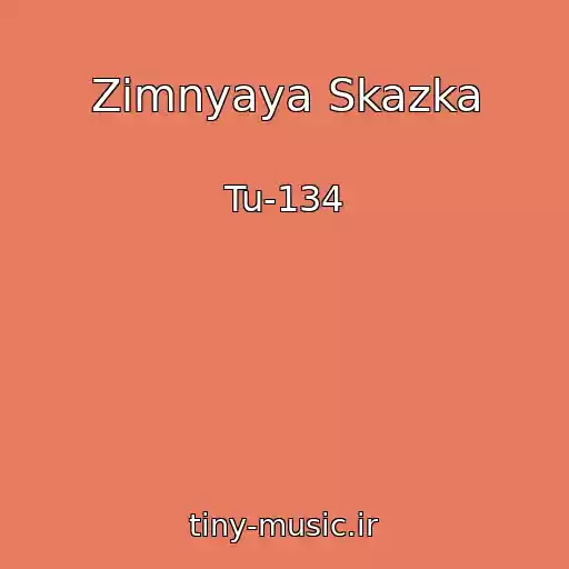 کاور آهنگ Zimnyaya Skazka از Tu-134