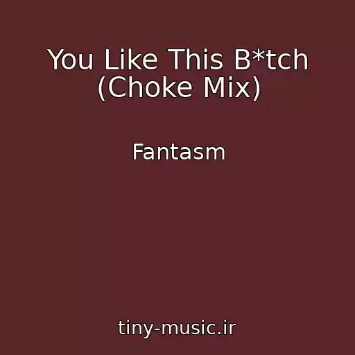 کاور آهنگ You Like This B*tch (Choke Mix) از Fantasm