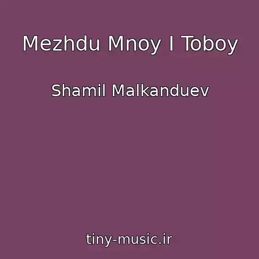 کاور آهنگ Mezhdu Mnoy I Toboy از Shamil Malkanduev