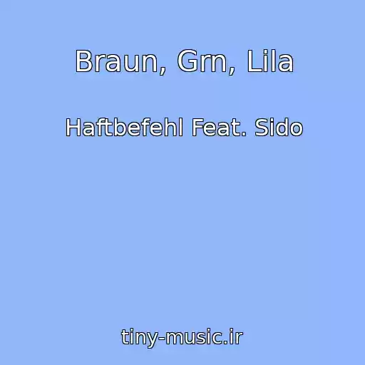 کاور آهنگ Braun, Grn, Lila از Haftbefehl Feat. Sido