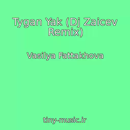کاور آهنگ Tygan Yak (Dj Zaicev Remix) از Vasilya Fattakhova