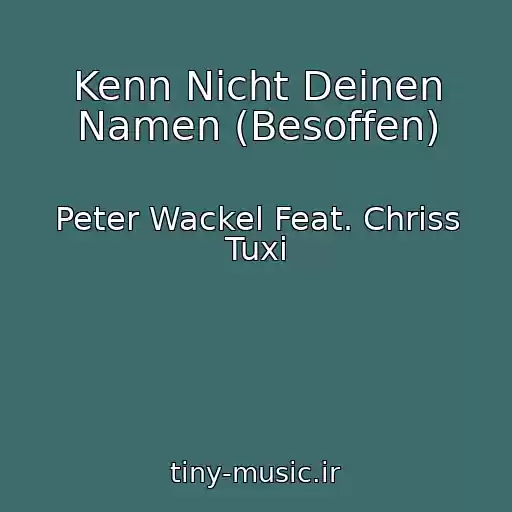 کاور آهنگ Kenn Nicht Deinen Namen (Besoffen) از Peter Wackel Feat. Chriss Tuxi