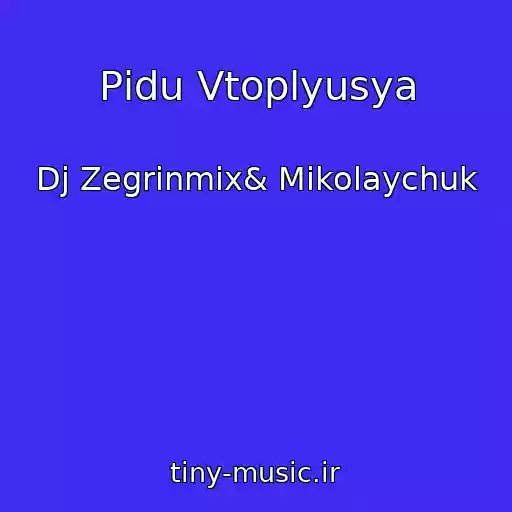 کاور آهنگ Pіdu Vtoplyusya از Dj Zegrinmix& Mikolaychuk