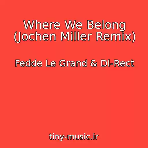 کاور آهنگ Where We Belong (Jochen Miller Remix) از Fedde Le Grand & Di-Rect
