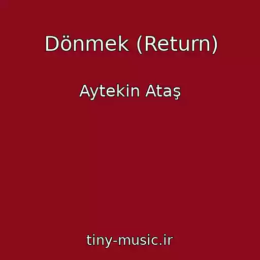 کاور آهنگ Dönmek (Return) از Aytekin Ataş