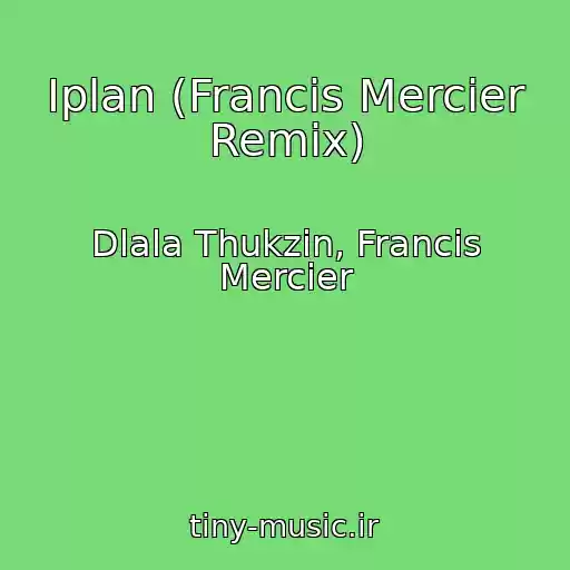 کاور آهنگ Iplan (Francis Mercier Remix) از Dlala Thukzin, Francis Mercier