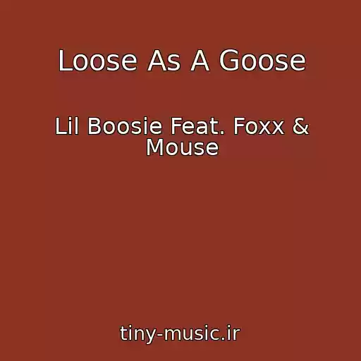 کاور آهنگ Loose As A Goose از Lil Boosie Feat. Foxx & Mouse