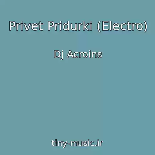 کاور آهنگ Privet Pridurki (Electro) از Dj Acroins