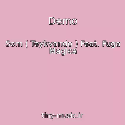 کاور آهنگ Demo از Som ( Teykvando ) Feat. Fuga Magica