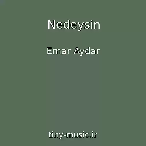 کاور آهنگ Nedeysіn از Ernar Aydar
