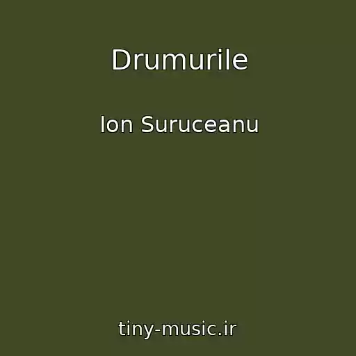 کاور آهنگ Drumurile از Ion Suruceanu