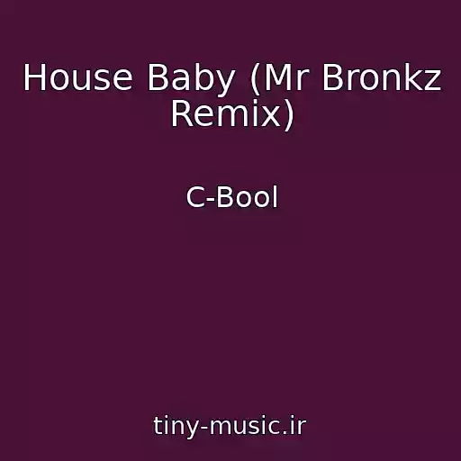 کاور آهنگ House Baby (Mr Bronkz Remix) از C-Bool