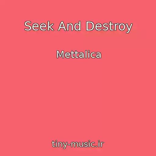 کاور آهنگ Seek And Destroy از Mettalica