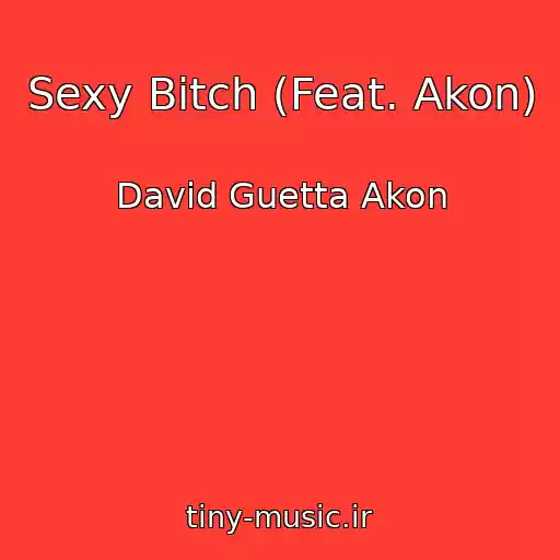کاور آهنگ Sexy Bitch (Feat. Akon) از David Guetta Akon
