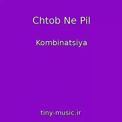 کاور آهنگ Chtob Ne Pil از Kombinatsiya