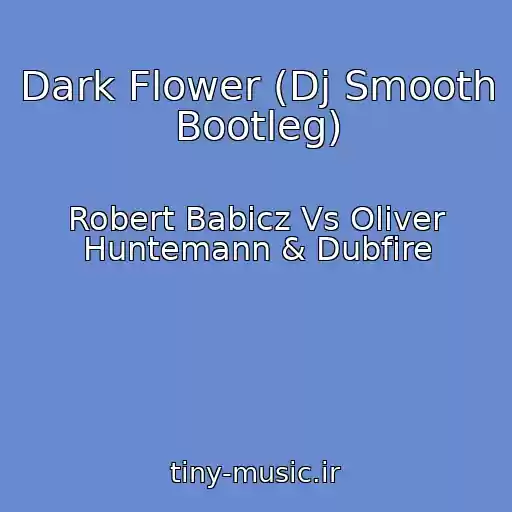 کاور آهنگ Dark Flower (Dj Smooth Bootleg) از Robert Babicz Vs Oliver Huntemann & Dubfire